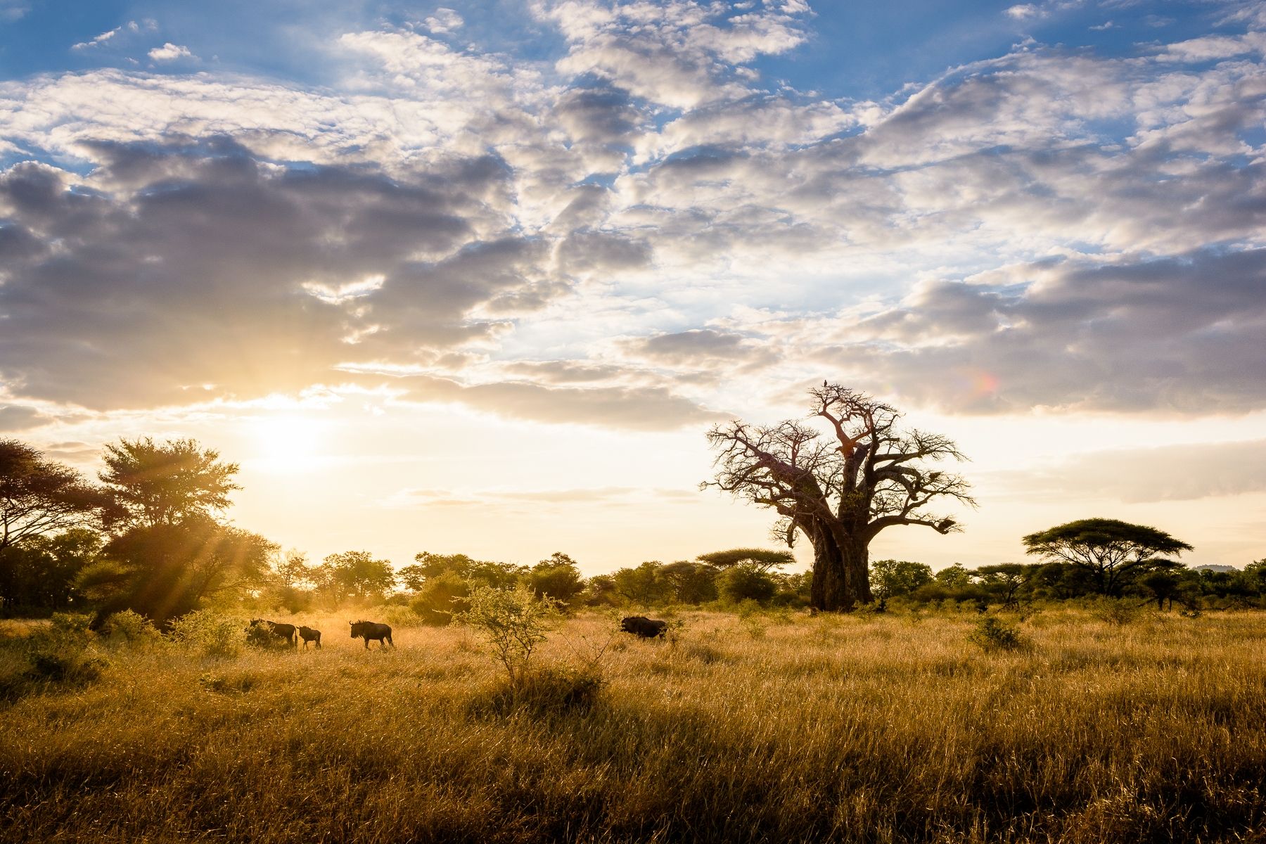 pamushana landscape.jpg