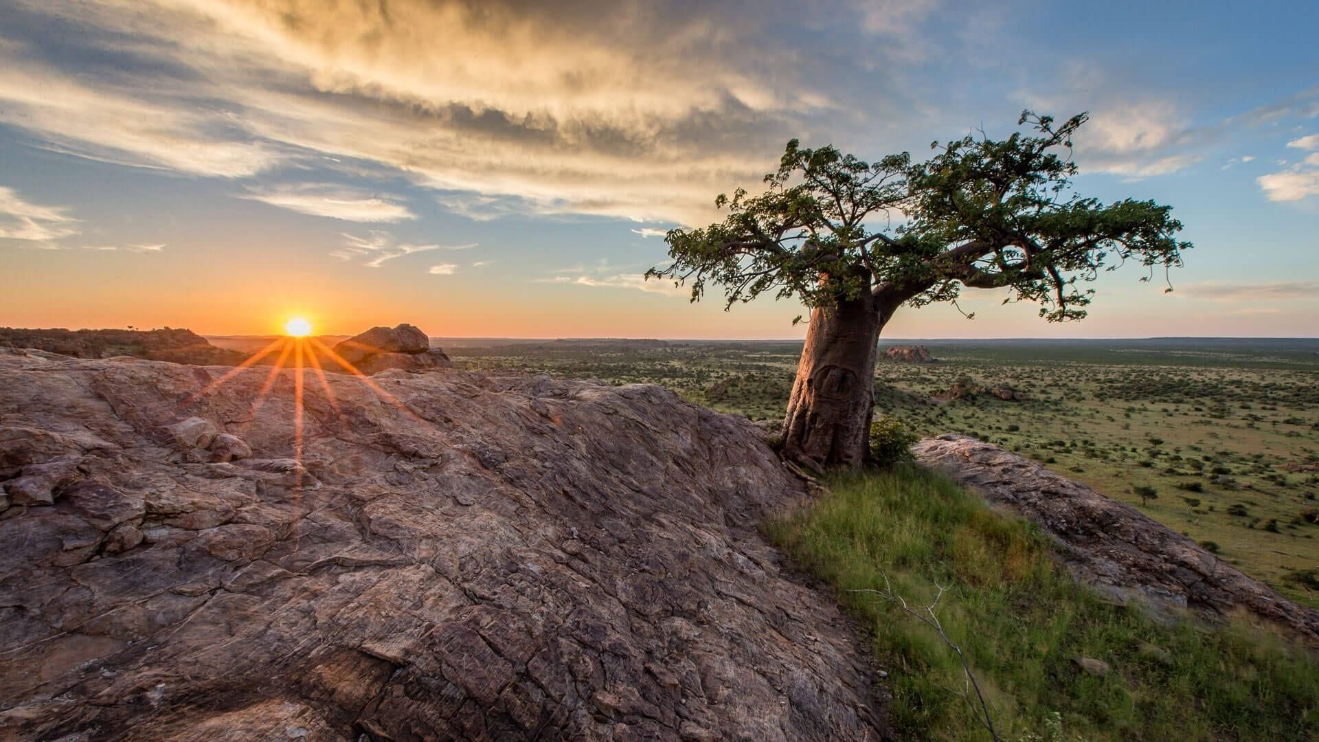Matashu game reserve