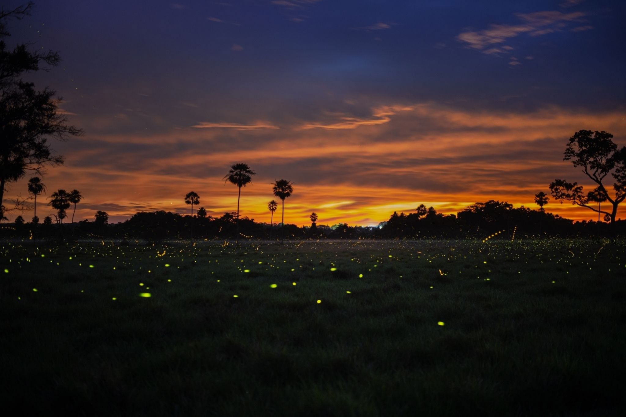 Keith Ladzinski Niarra Travel Caiman sunset