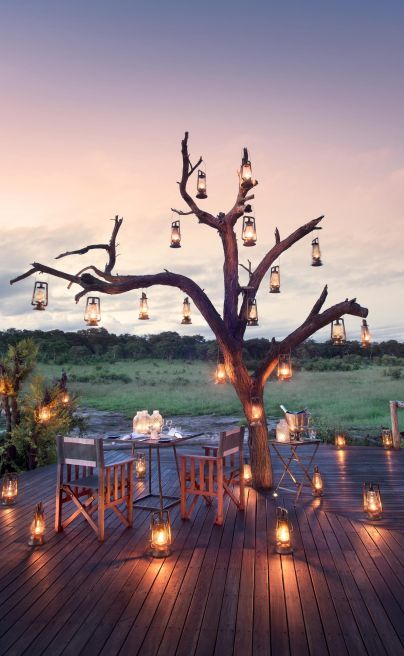 ABC Somalisa Expeditions Zim candelight dinner
