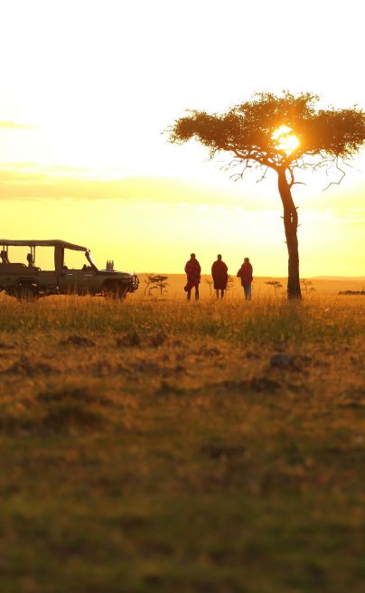 Basecamp leopard hills13