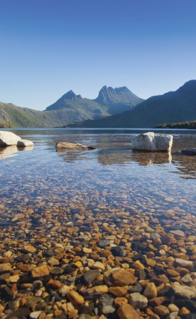 Cadle Mountain Tasmania
