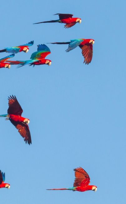 Cerrado Pousada Trijancou Brazil 4