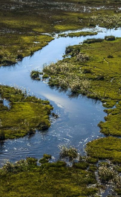 Channels of the Okavango Delta near Duba Explorers