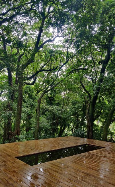 Chayote Lodge5