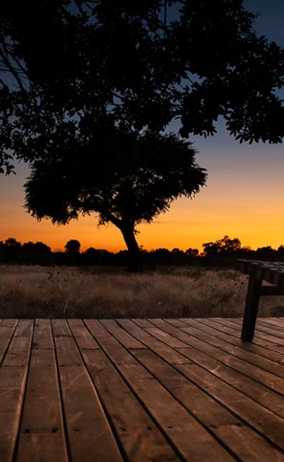 Kuyenda Bushcamp South Luangwa 2