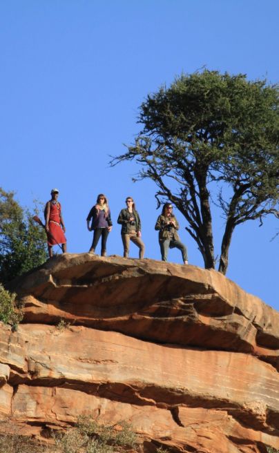 Lewa Wilderness Laikipia 8