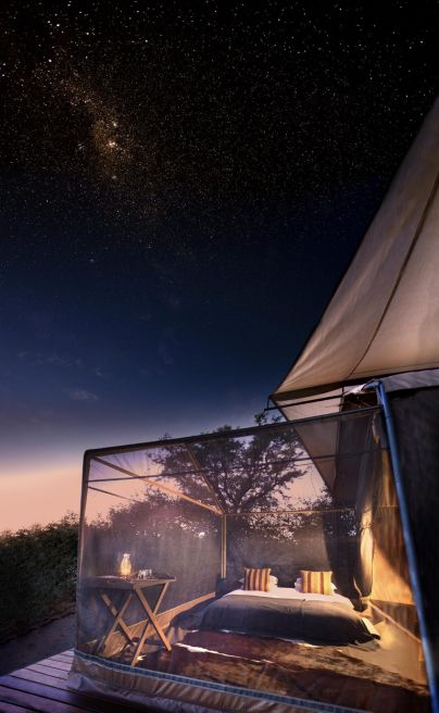 Linyanti Expeditions 12