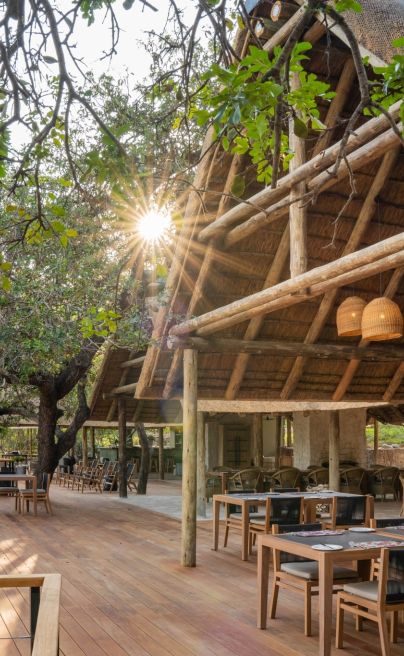 NEW Thornybush Game Lodge Main Area 28