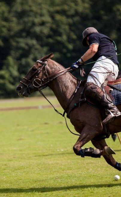 Quito Polo C Lub 4