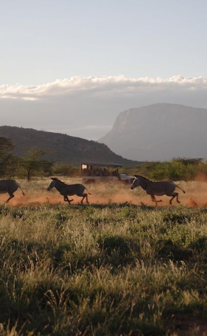 Saruni Samburu 18