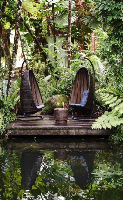 Daintree ecolodge14
