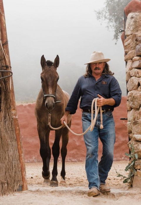 Finca La Donaira 39