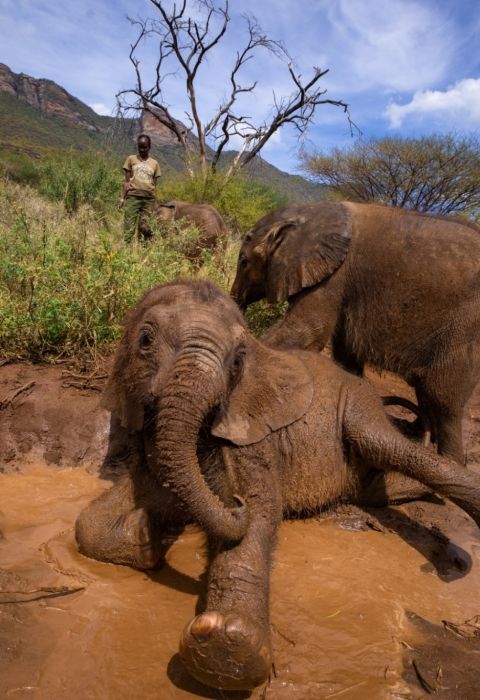 Keith Ladzinski Niarra Travel Reteti elephant sanctuary