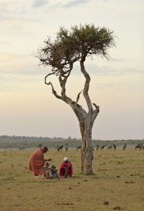 Kicheche Mara Camp safari Kenya 10