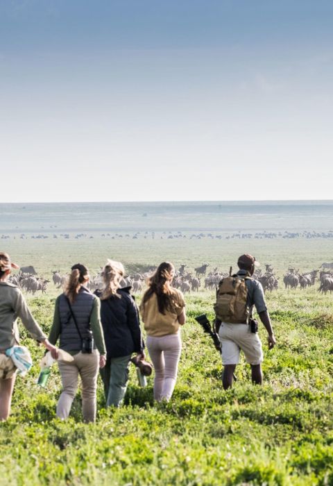 Legendary Migration Camp Serengeti Tanzania 12