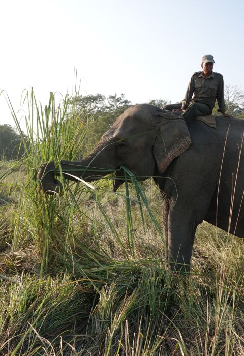 Niarra James W Tiger Tops Tharu Chitwan port