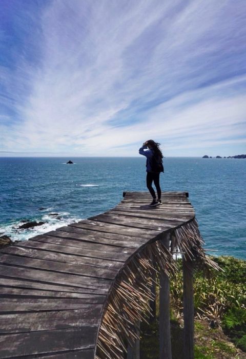 Tierra Chiloe 1