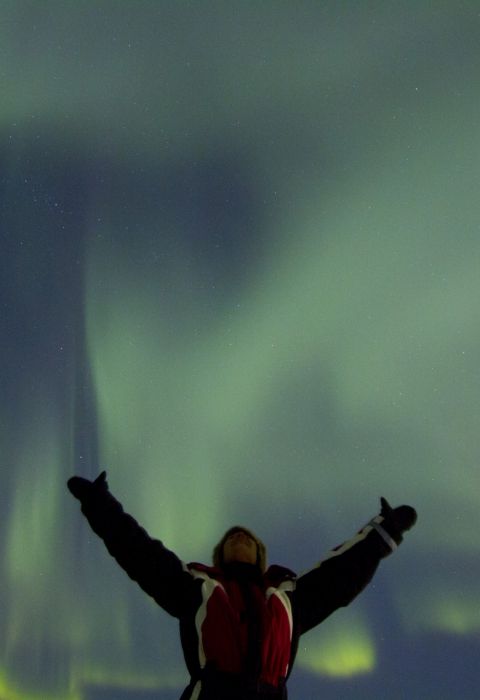 Aurora at aurora safari camp