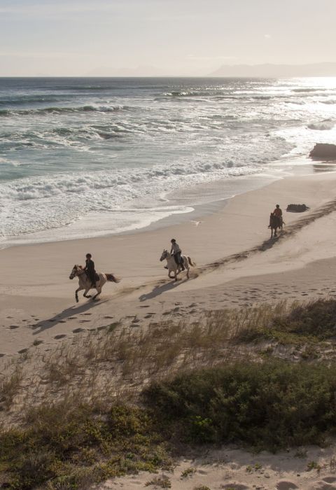 Grootbos experience horse riding beach 09