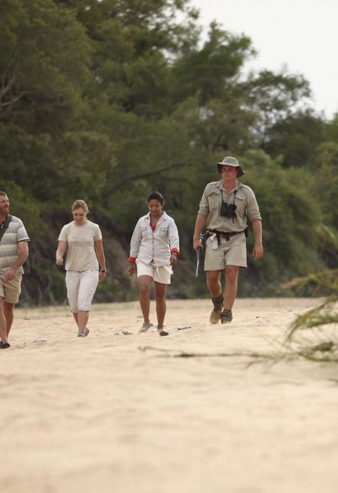 Ngala walking safari