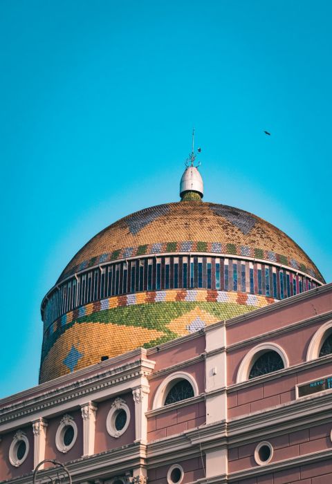 Rivail junior manaus unsplash