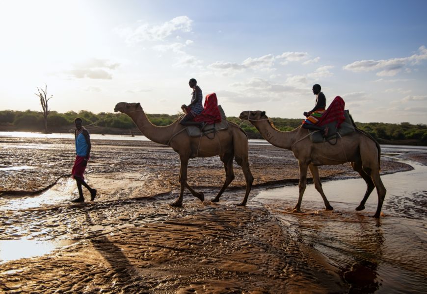 Sasaab Kenya camel keith ladzinski