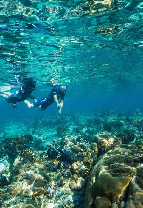 Azura Benguerra Island Snorkelling