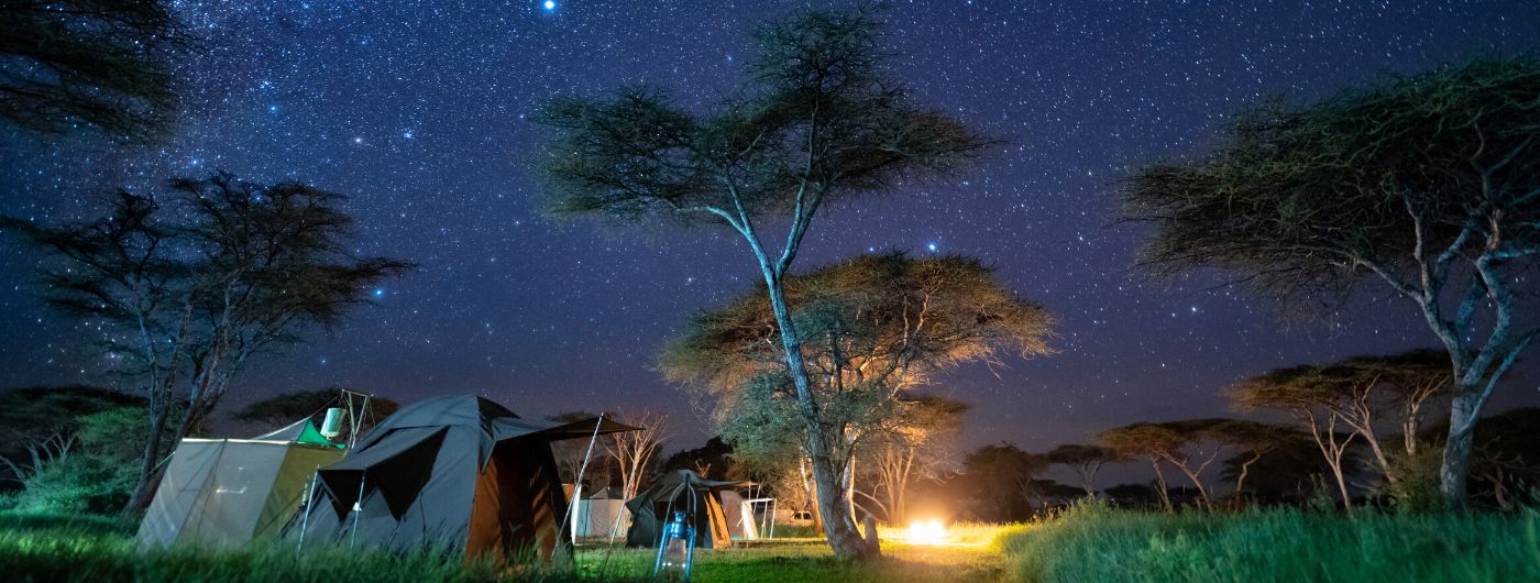 Walking camp night sky banner