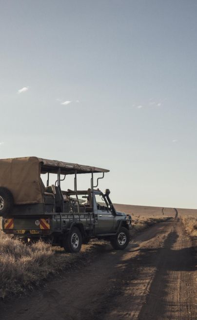 Kenya lewa house game drive 1