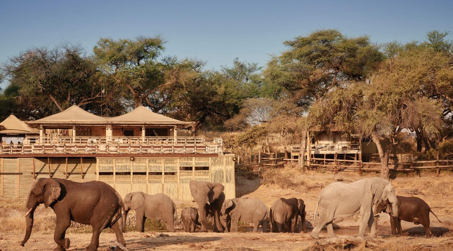 Belmond Savute Elephant Lodge 14