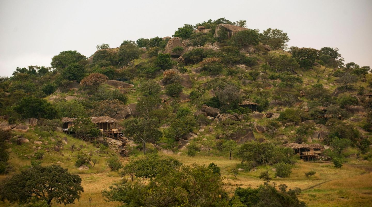 Lamai Serengeti See but don t be seen