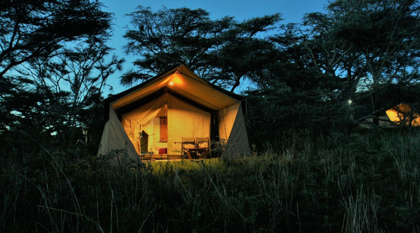 Mysigio Camp 3