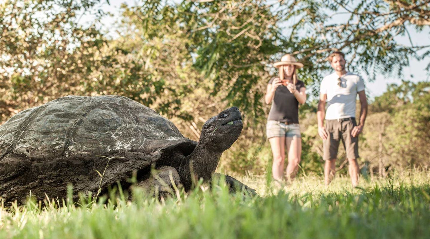 Galapagos safari camp 2
