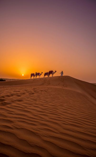 Al Maha 16