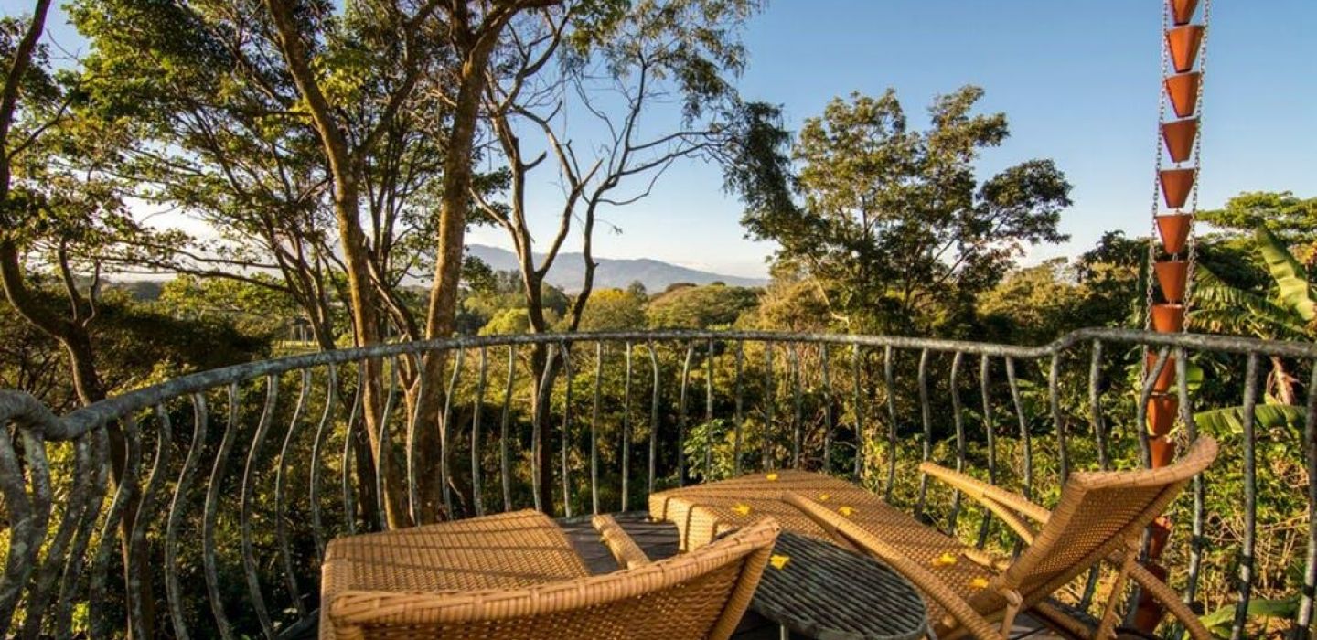 Finca Rosa Blanca A 1 jpg