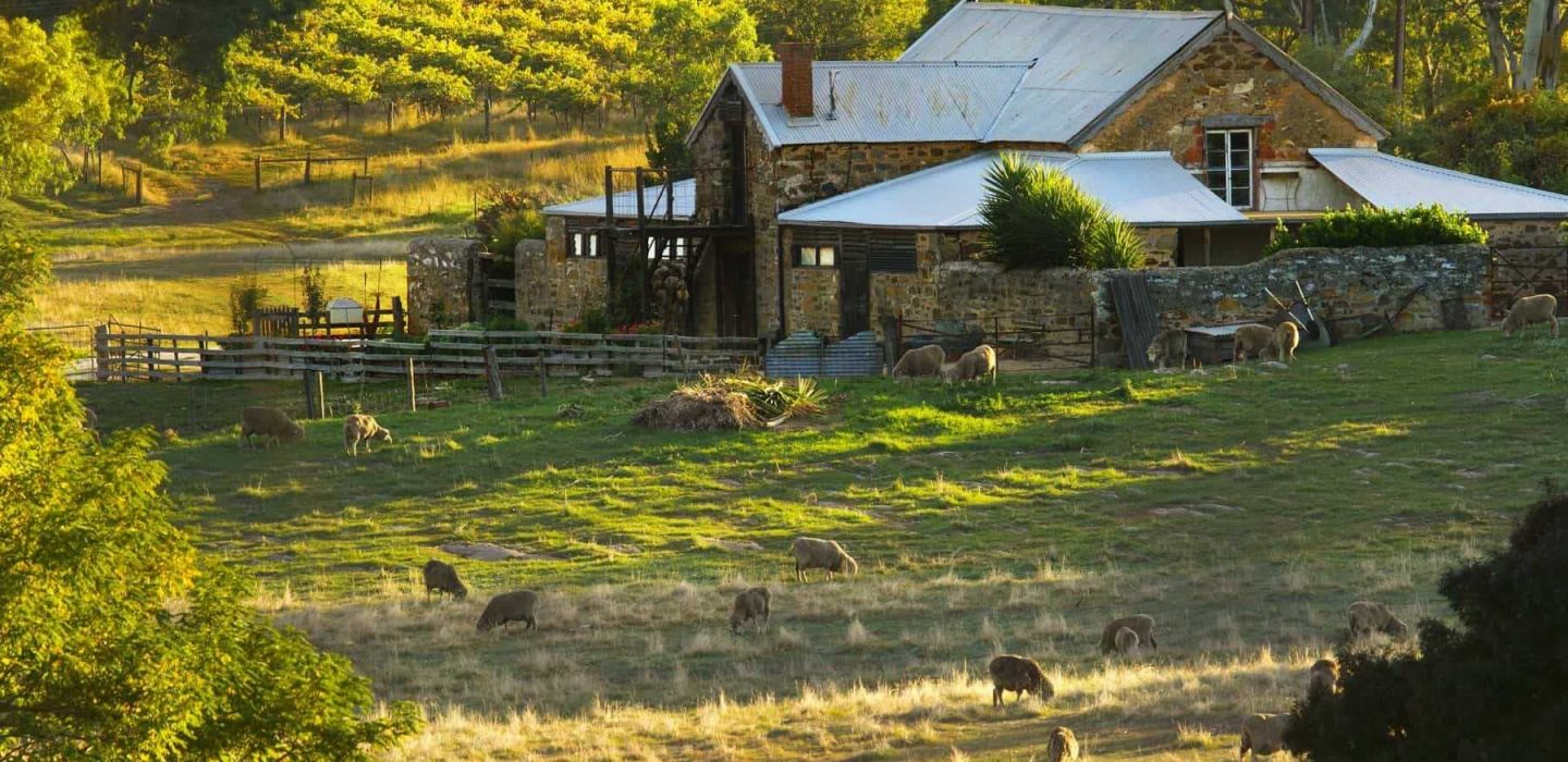 Hutton Vale Farm Barossa JHA 1
