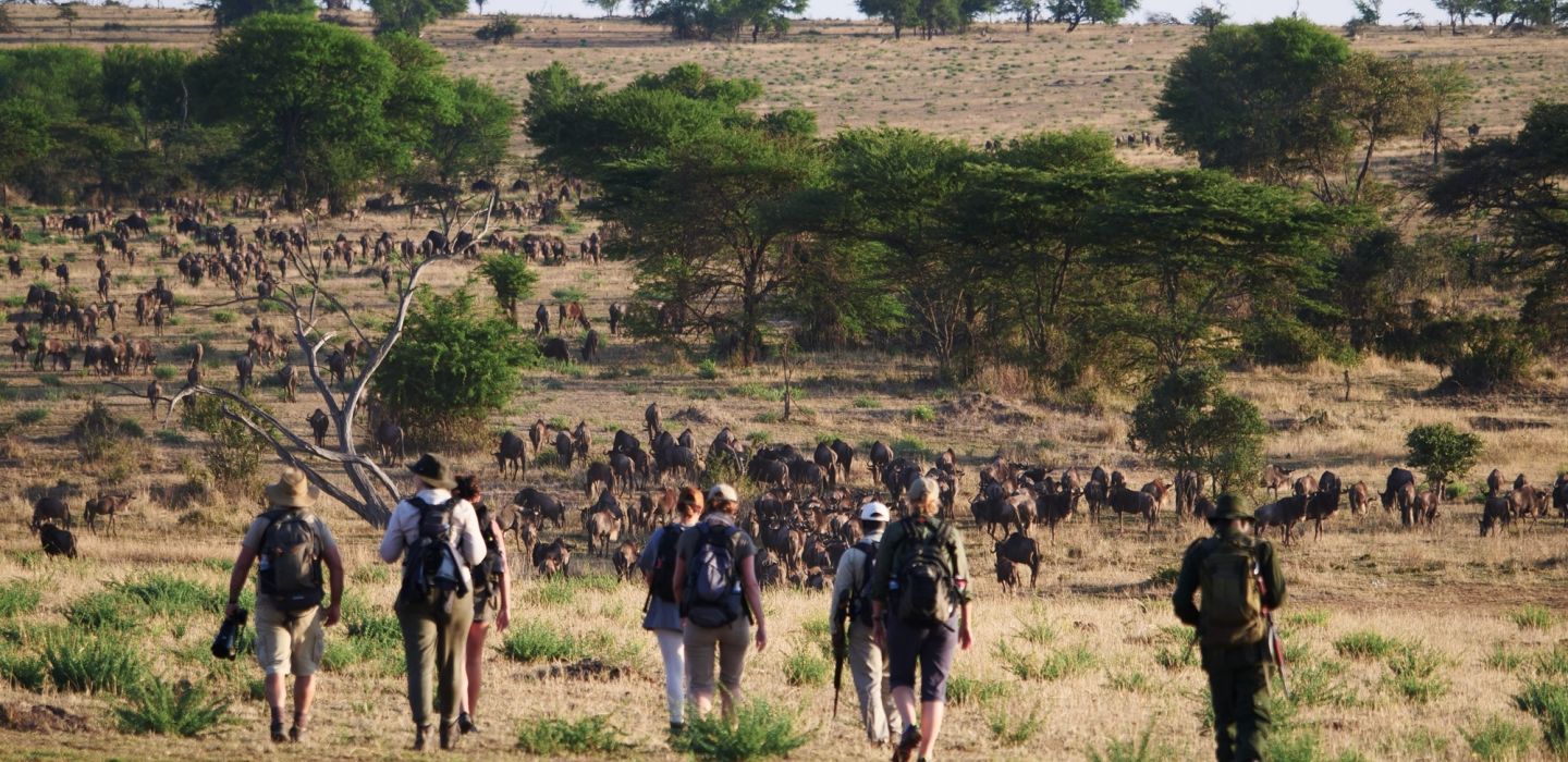 Best way to see the Great Migration, private luxury mobile safari camp – The Explorations Company
