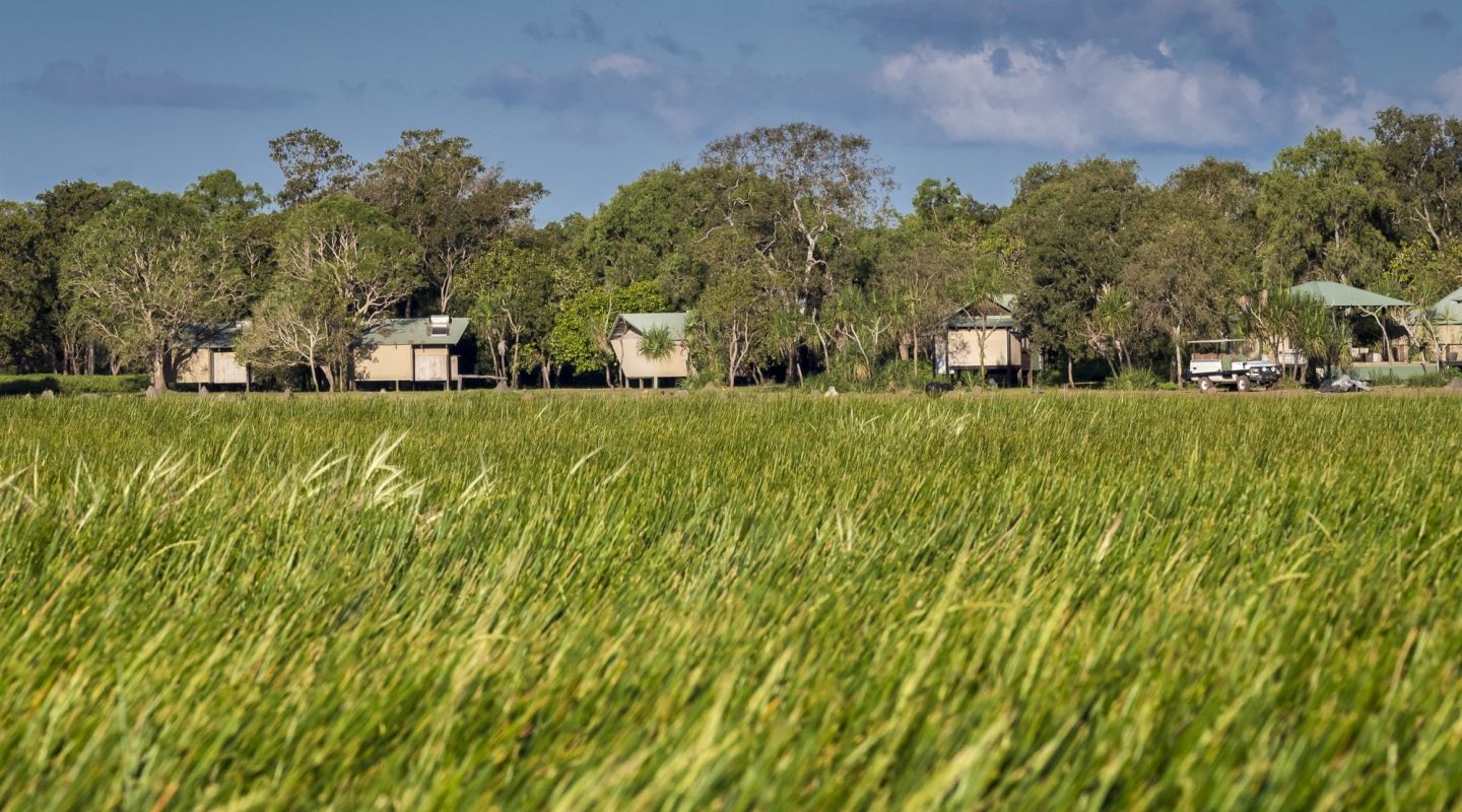 Bamurru Plains Australia tents 6