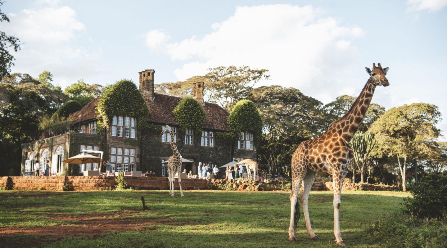 Giraffe Manor Nairobi Kenya 13