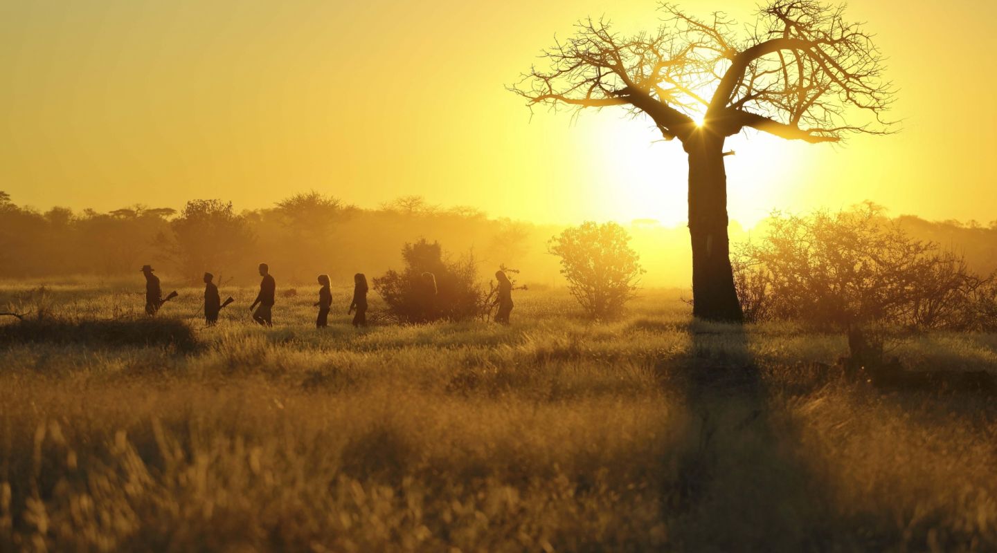 Kichaka Frontier Camp Ruaha Tanzania 9