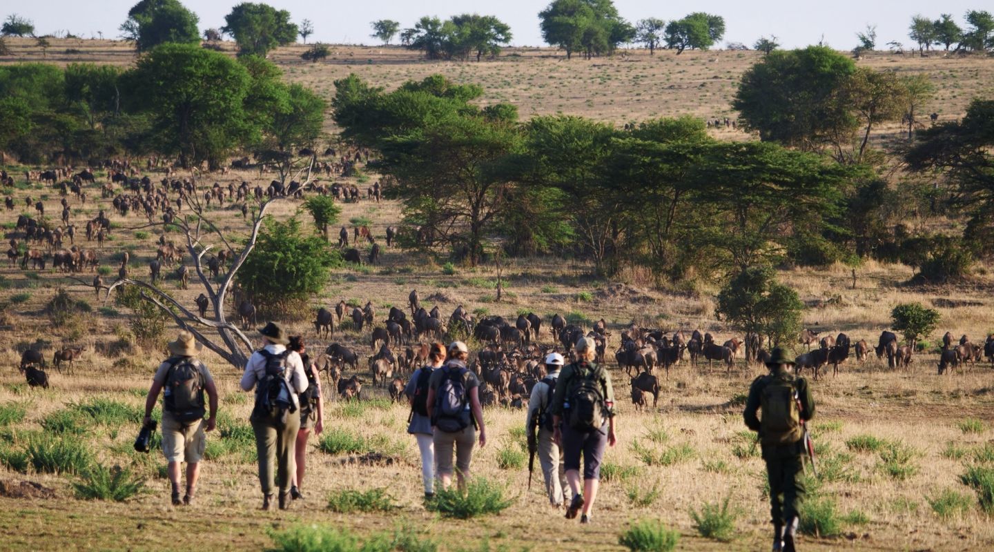 Wayo Walking Safari Serengeti Tanzania 1