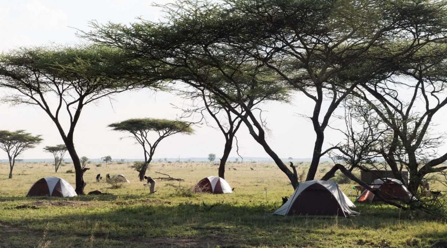 Wayo Walking Safari Serengeti Tanzania 5