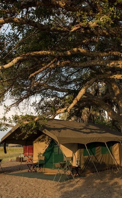 Andrew Harkness Mobile Safaris Botswana 9