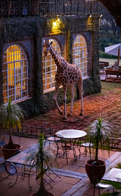 Giraffe Manor Nairobi Niarra Travel Keith Ladzinski