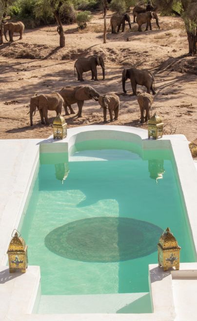 Sasaab Kenya 14