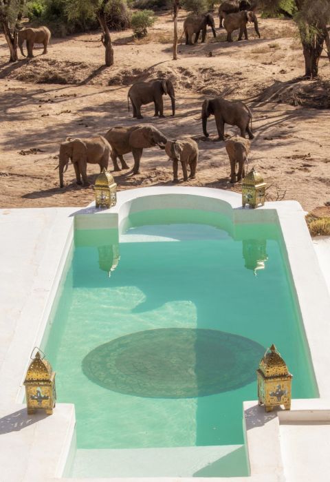 Sasaab Kenya 14