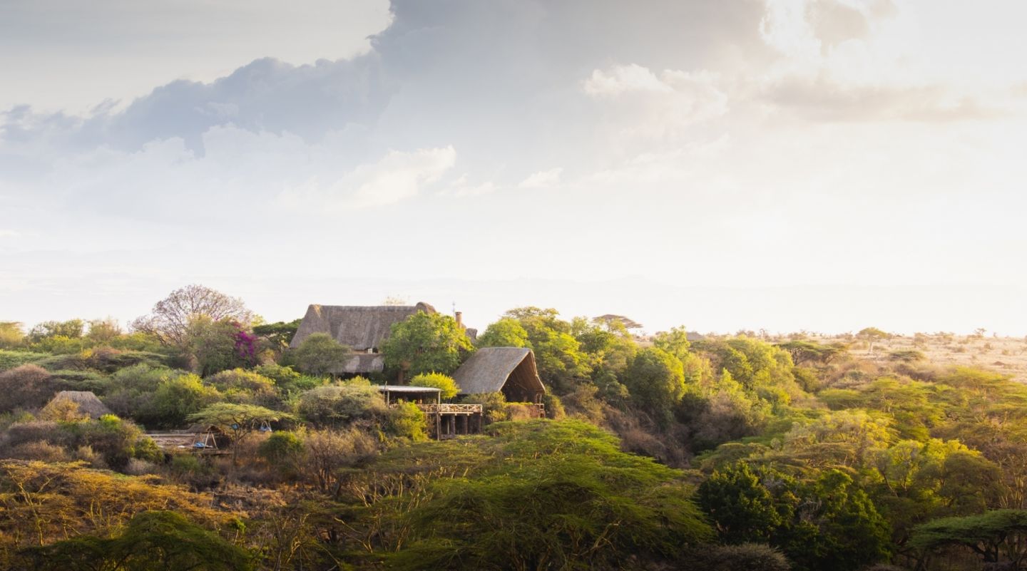 Lewa Wilderness Laikipia Kenya 2