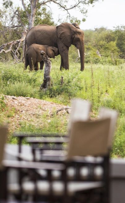 Simbavati Amani Entertainment area 2