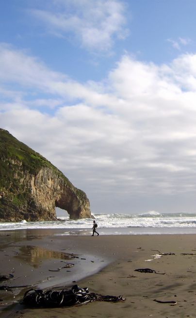 Tierra Chiloe 21
